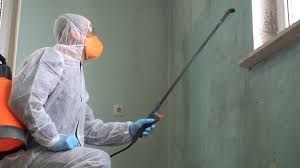 Best Forensic Mold Investigation in Odenville, AL